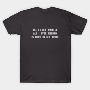 All I Ever Wanted, silver T-Shirt